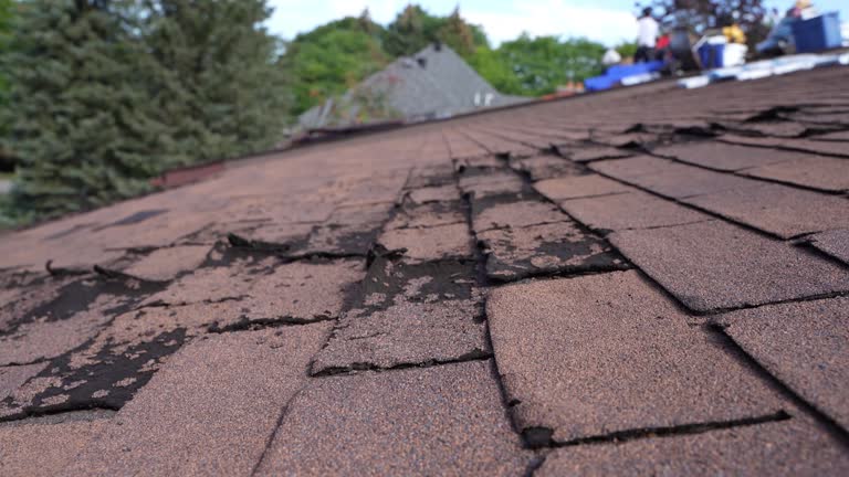 Best Storm Damage Roof Repair  in Forest City, PA